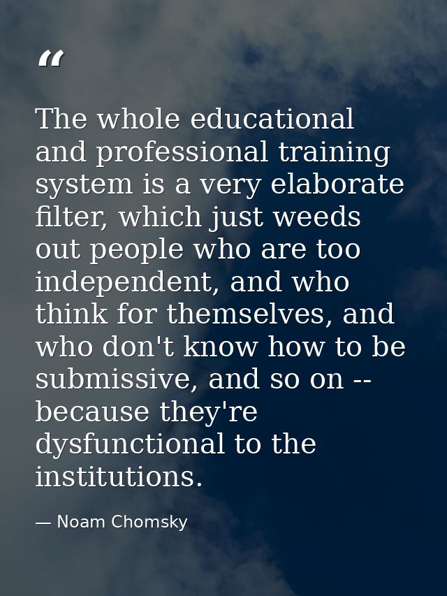 The whole educational and professional training system is a very elaborate filter, which just weeds out people who are t — Noam Chomsky