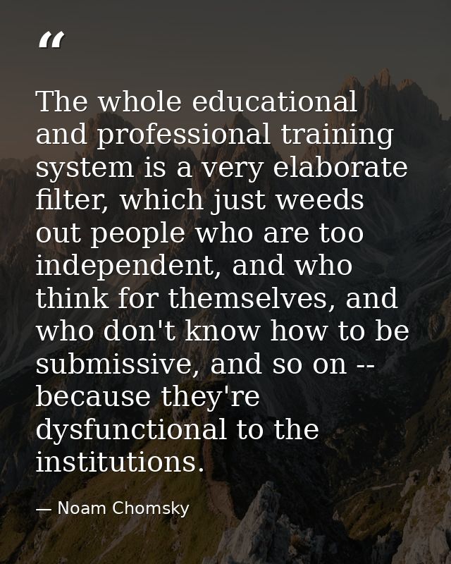 The whole educational and professional training system is a very elaborate filter, which just weeds out people who are t — Noam Chomsky