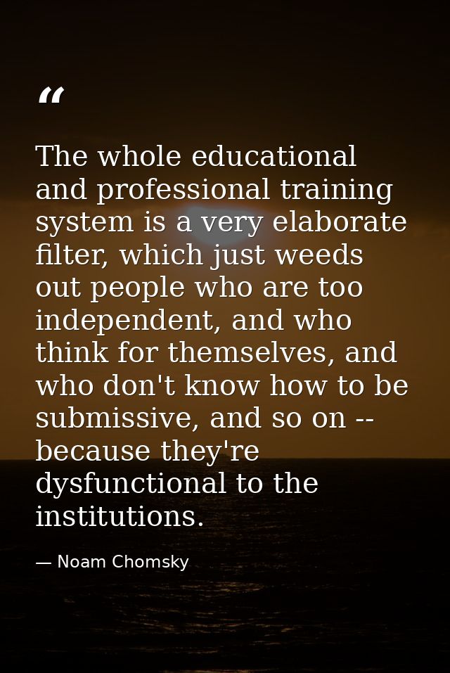 The whole educational and professional training system is a very elaborate filter, which just weeds out people who are t — Noam Chomsky