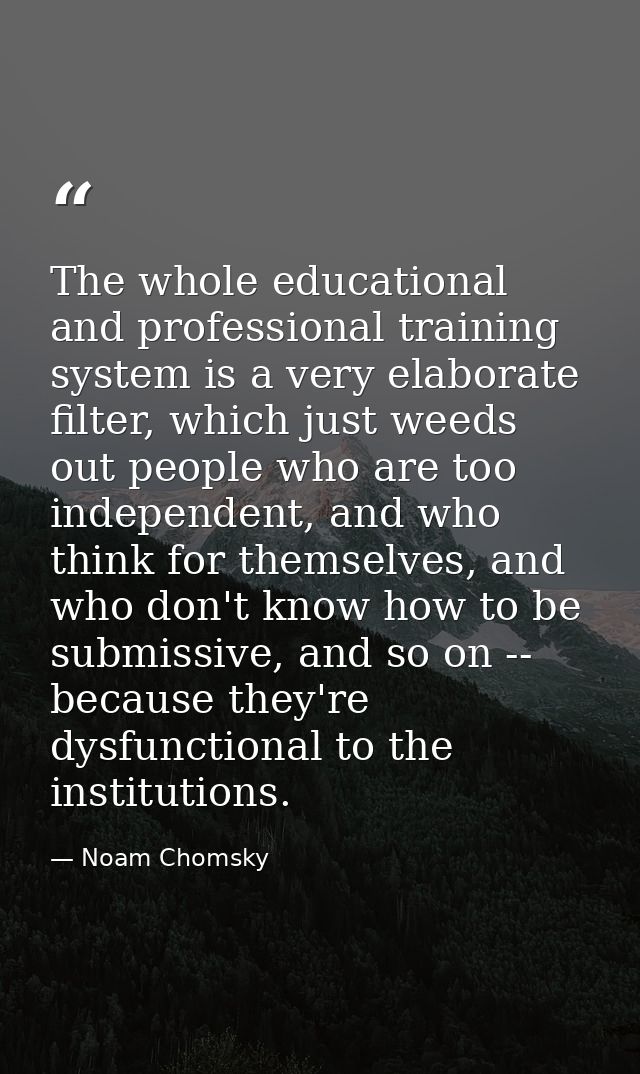 The whole educational and professional training system is a very elaborate filter, which just weeds out people who are t — Noam Chomsky