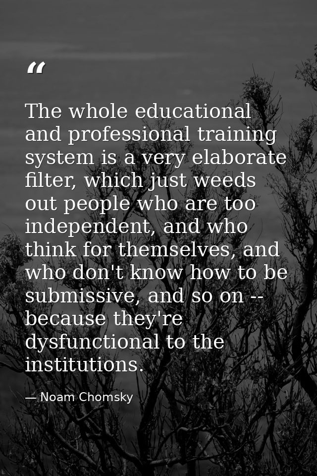 The whole educational and professional training system is a very elaborate filter, which just weeds out people who are t — Noam Chomsky