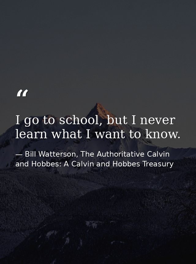 I go to school, but I never learn what I want to know. — Bill Watterson, The Authoritative Calvin and Hobbes: A Calvin and Hobbes Treasury