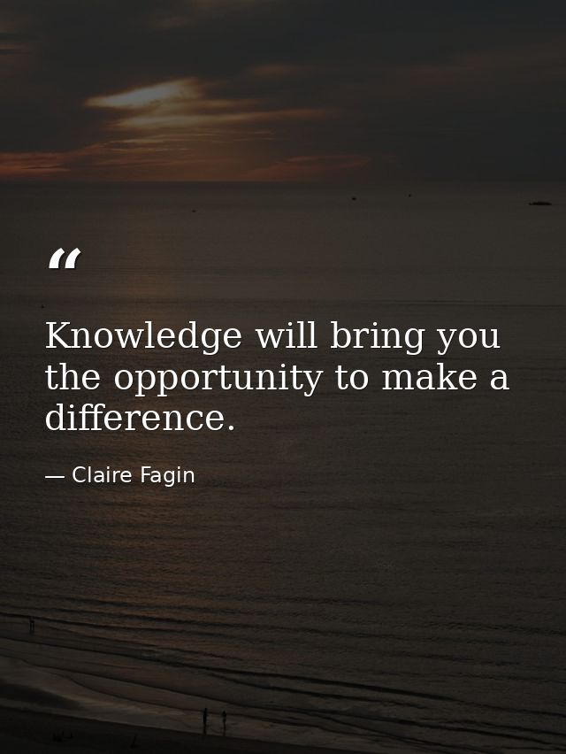 Knowledge will bring you the opportunity to make a difference. — Claire Fagin