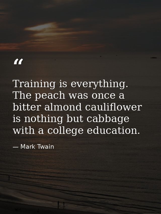 Training is everything. The peach was once a bitter almond cauliflower is nothing but cabbage with a college education. — Mark Twain
