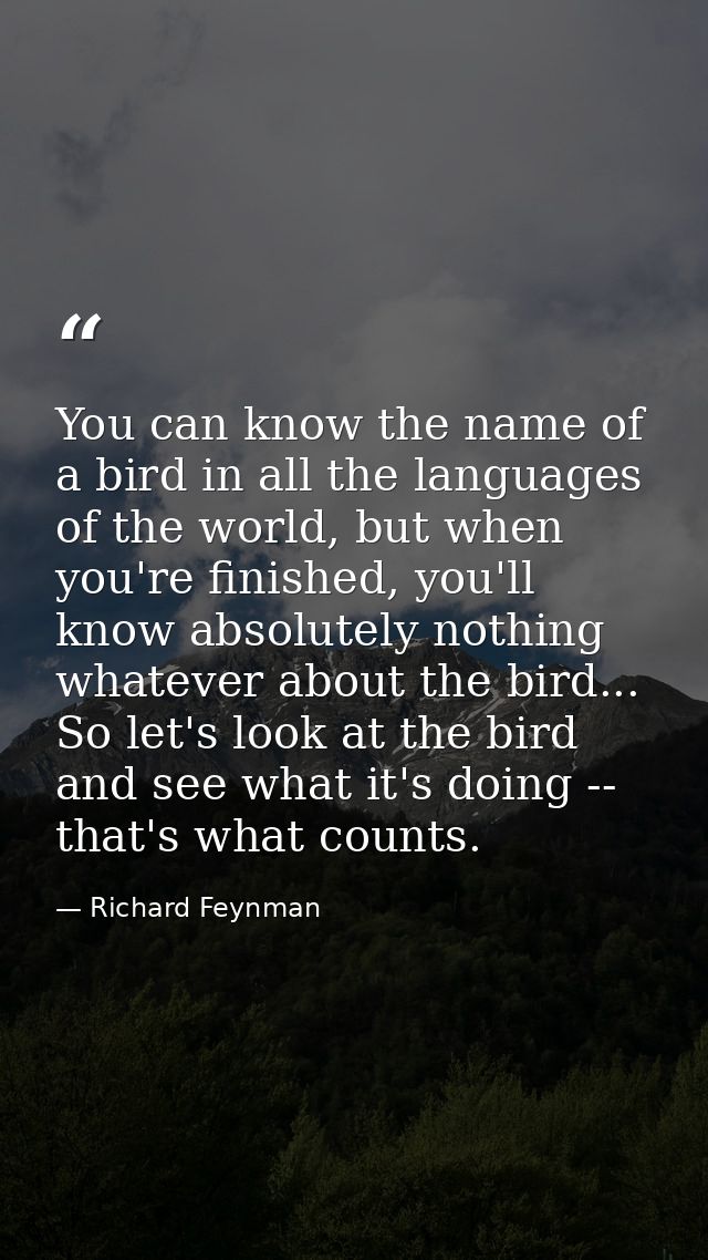 You can know the name of a bird in all the languages of the world, but when you're finished, you'll know absolutely noth — Richard Feynman