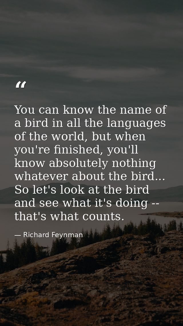 You can know the name of a bird in all the languages of the world, but when you're finished, you'll know absolutely noth — Richard Feynman