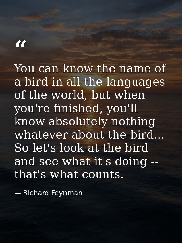 You can know the name of a bird in all the languages of the world, but when you're finished, you'll know absolutely noth — Richard Feynman