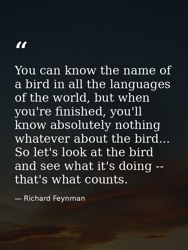 You can know the name of a bird in all the languages of the world, but when you're finished, you'll know absolutely noth — Richard Feynman