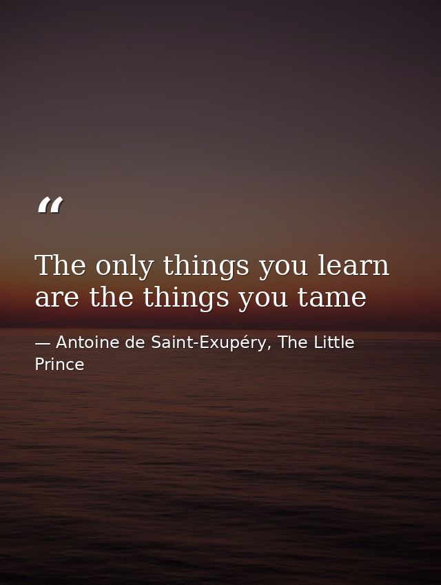 The only things you learn are the things you tame — Antoine de Saint-Exupéry, The Little Prince