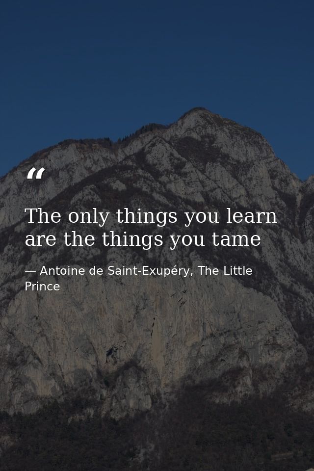 The only things you learn are the things you tame — Antoine de Saint-Exupéry, The Little Prince