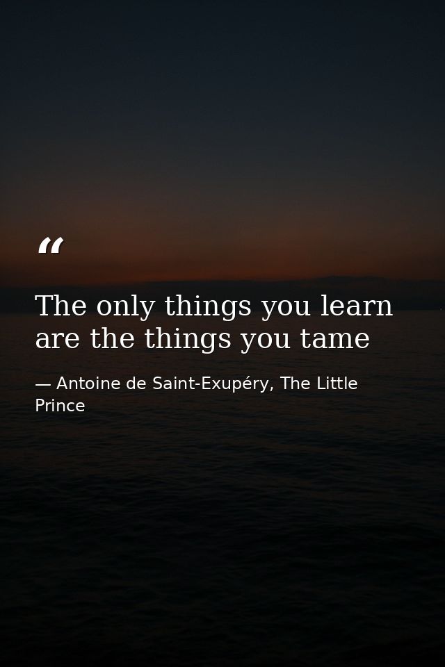 The only things you learn are the things you tame — Antoine de Saint-Exupéry, The Little Prince
