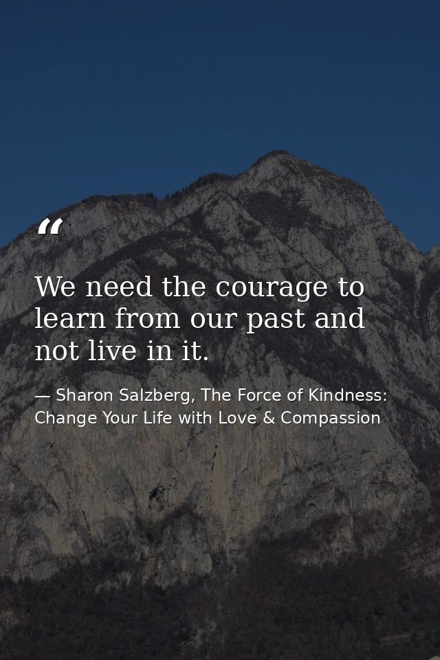 We need the courage to learn from our past and not live in it. — Sharon Salzberg, The Force of Kindness: Change Your Life with Love & Compassion
