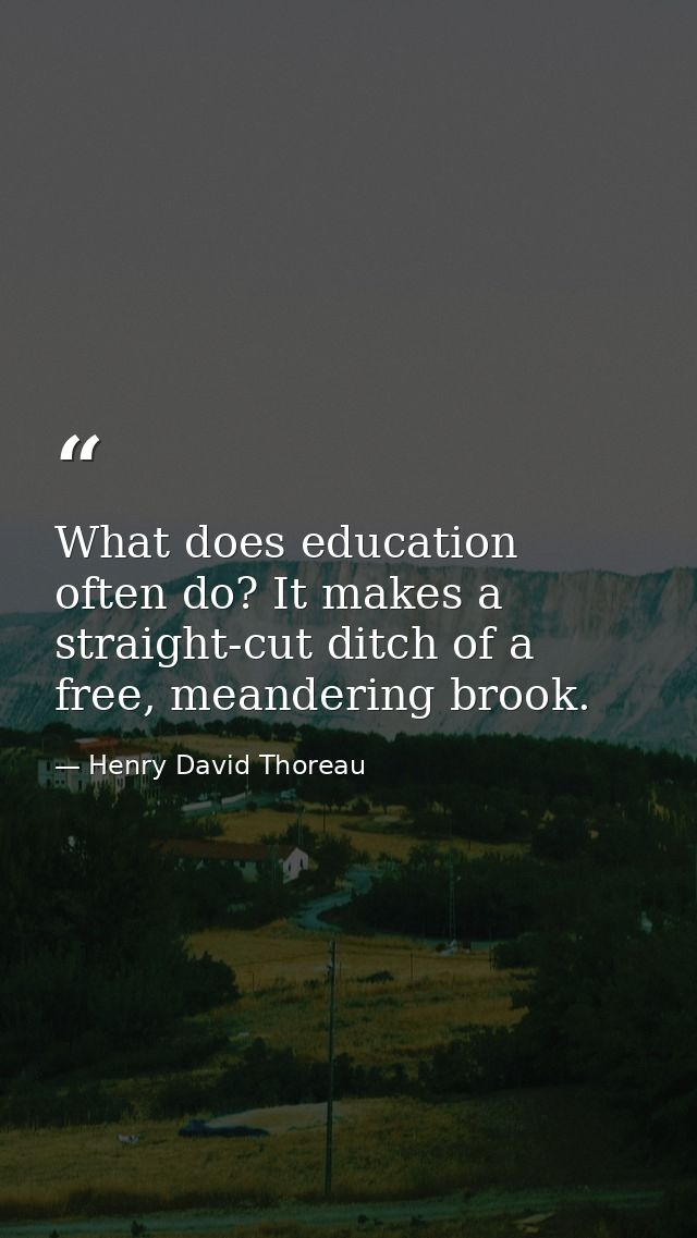 What does education often do? It makes a straight-cut ditch of a free, meandering brook. — Henry David Thoreau