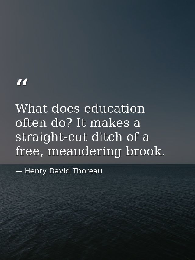 What does education often do? It makes a straight-cut ditch of a free, meandering brook. — Henry David Thoreau
