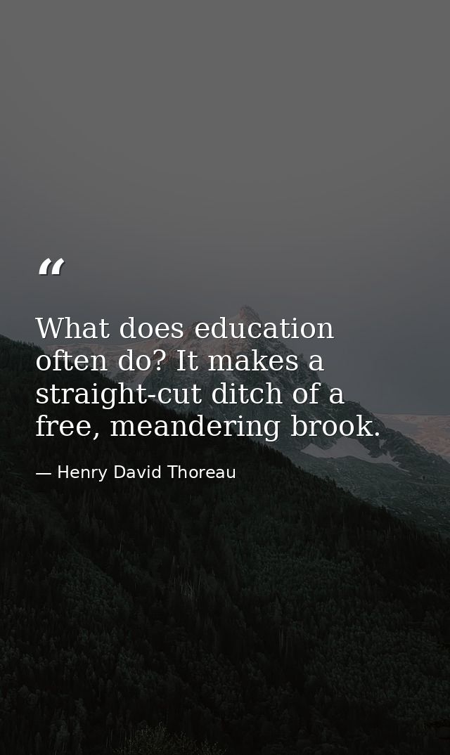 What does education often do? It makes a straight-cut ditch of a free, meandering brook. — Henry David Thoreau