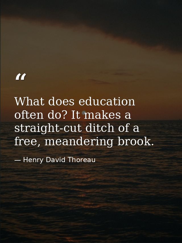 What does education often do? It makes a straight-cut ditch of a free, meandering brook. — Henry David Thoreau