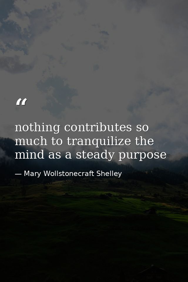 nothing contributes so much to tranquilize the mind as a steady purpose — Mary Wollstonecraft Shelley
