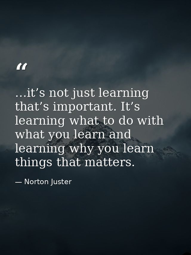 …it’s not just learning that’s important. It’s learning what to do with what you learn and learning why you learn things — Norton Juster