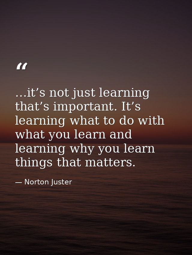 …it’s not just learning that’s important. It’s learning what to do with what you learn and learning why you learn things — Norton Juster