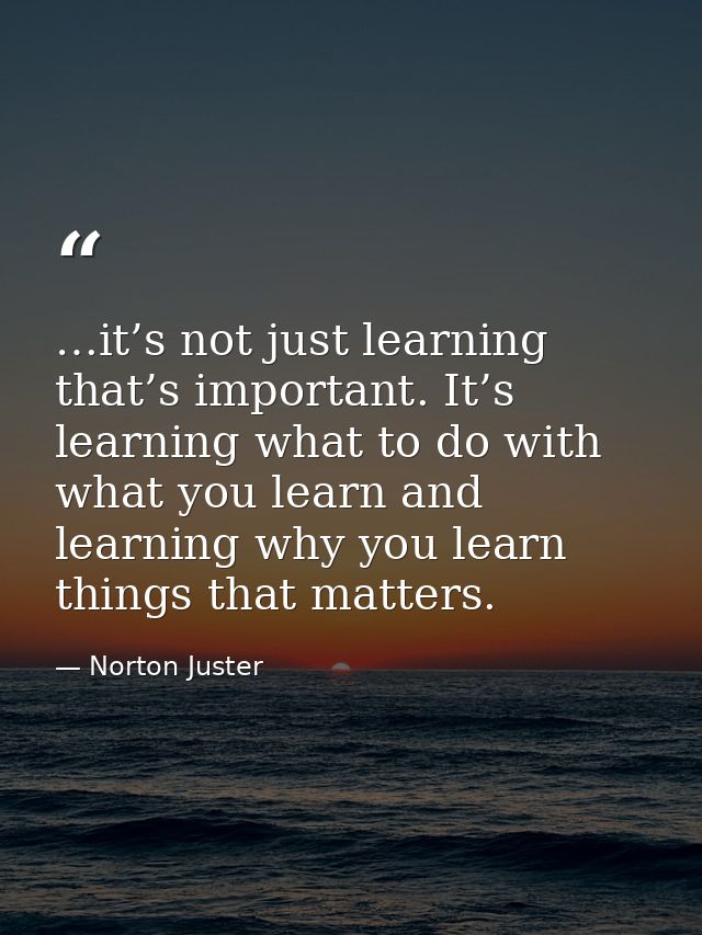 …it’s not just learning that’s important. It’s learning what to do with what you learn and learning why you learn things — Norton Juster