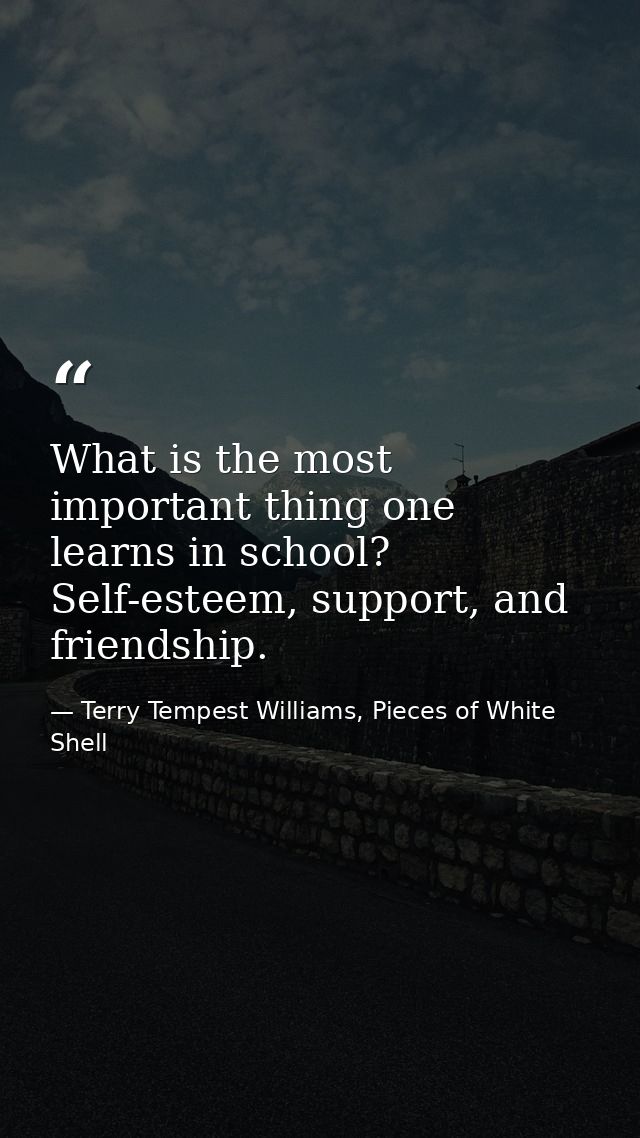 What is the most important thing one learns in school? Self-esteem, support, and friendship. — Terry Tempest Williams, Pieces of White Shell