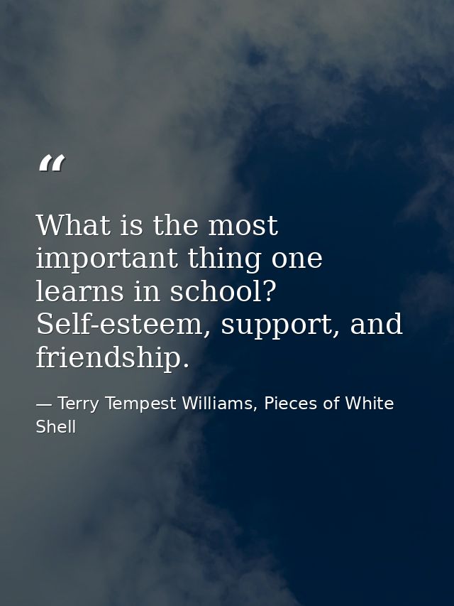 What is the most important thing one learns in school? Self-esteem, support, and friendship. — Terry Tempest Williams, Pieces of White Shell