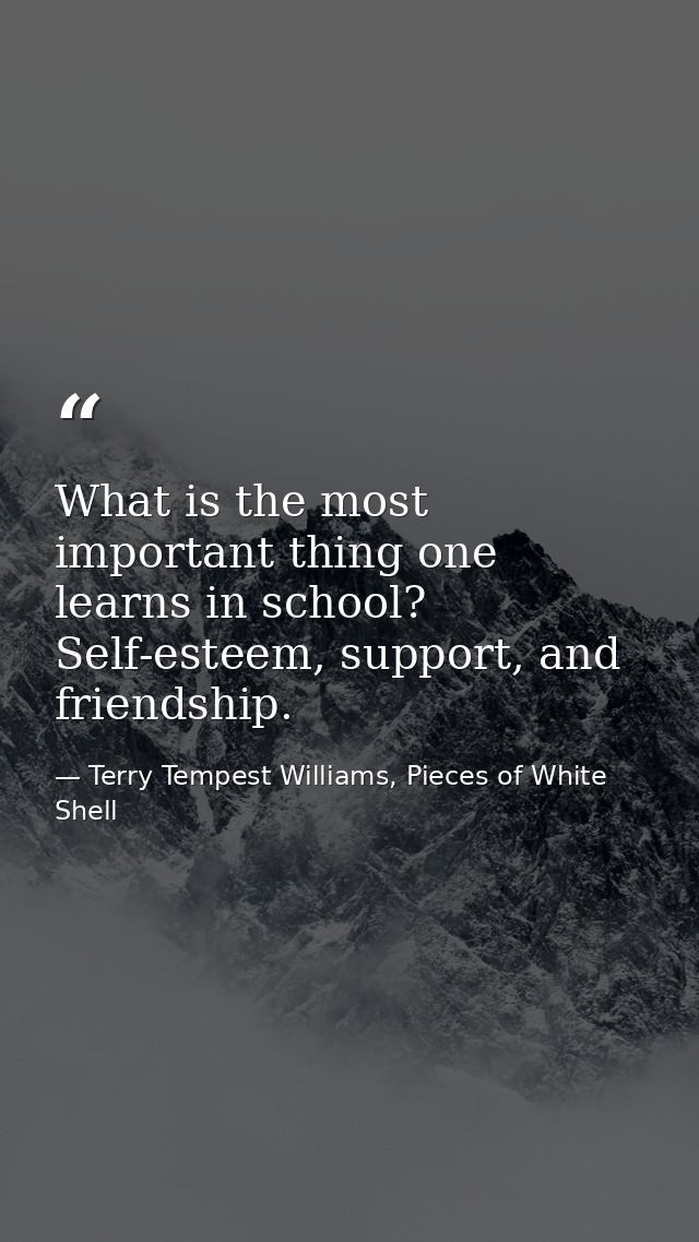 What is the most important thing one learns in school? Self-esteem, support, and friendship. — Terry Tempest Williams, Pieces of White Shell