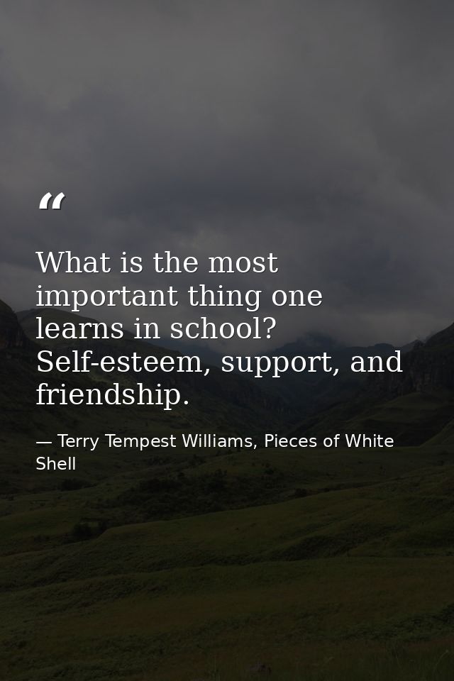 What is the most important thing one learns in school? Self-esteem, support, and friendship. — Terry Tempest Williams, Pieces of White Shell