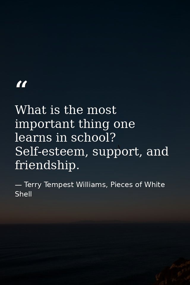 What is the most important thing one learns in school? Self-esteem, support, and friendship. — Terry Tempest Williams, Pieces of White Shell
