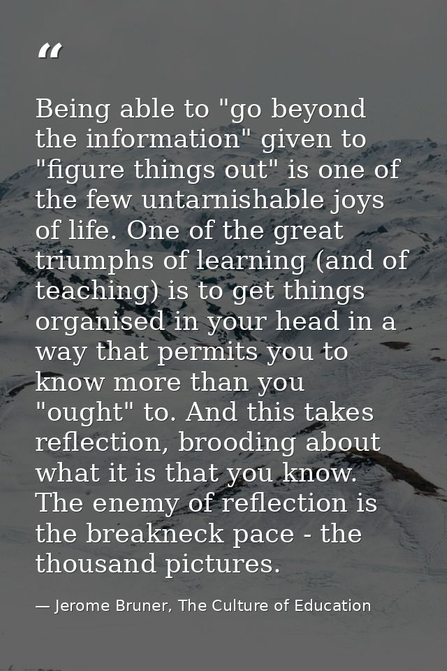 Being able to "go beyond the information" given to "figure things out" is one of the few untarnishable joys of life. One — Jerome Bruner, The Culture of Education