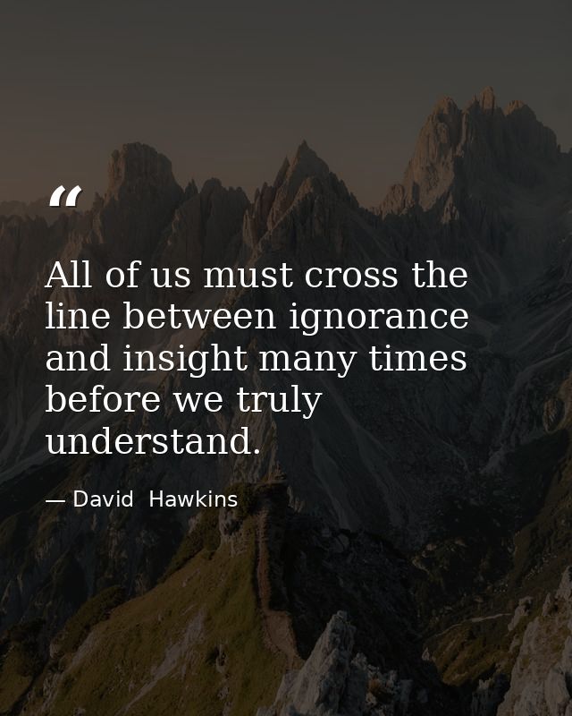 All of us must cross the line between ignorance and insight many times before we truly understand. — David  Hawkins