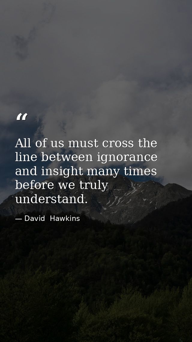 All of us must cross the line between ignorance and insight many times before we truly understand. — David  Hawkins
