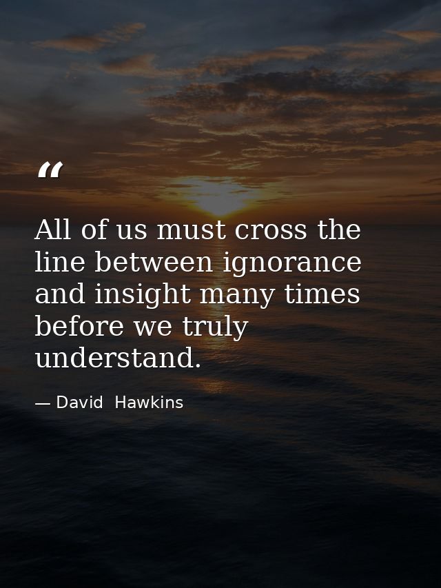 All of us must cross the line between ignorance and insight many times before we truly understand. — David  Hawkins