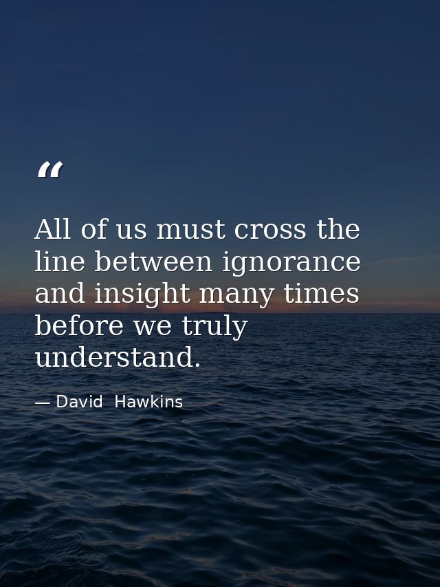 All of us must cross the line between ignorance and insight many times before we truly understand. — David  Hawkins