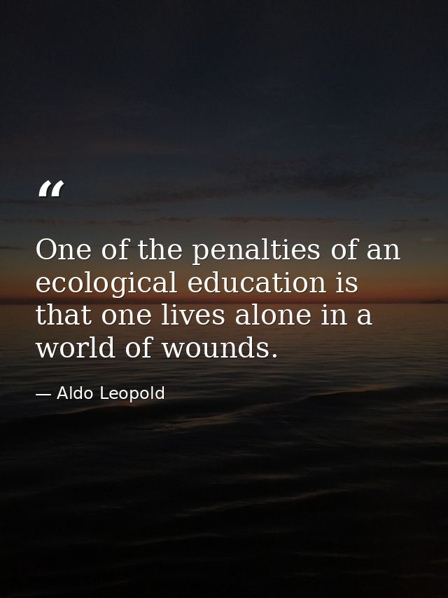 One of the penalties of an ecological education is that one lives alone in a world of wounds. — Aldo Leopold