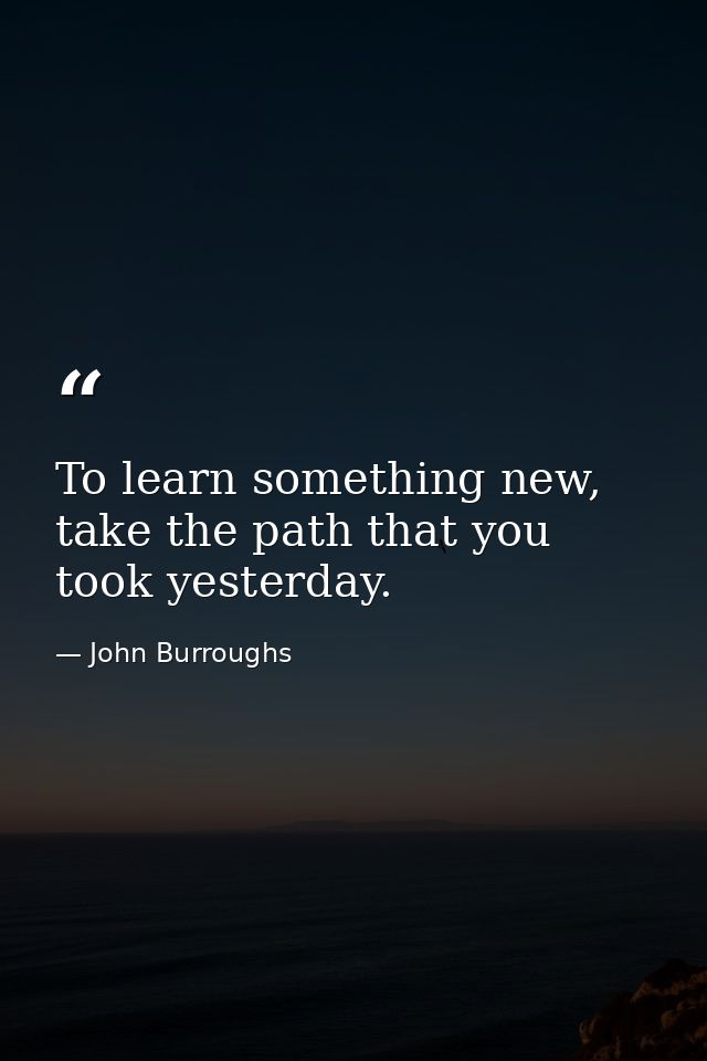 To learn something new, take the path that you took yesterday. — John Burroughs