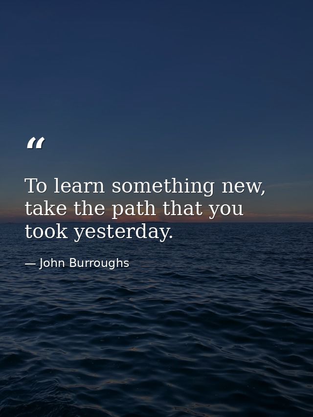 To learn something new, take the path that you took yesterday. — John Burroughs