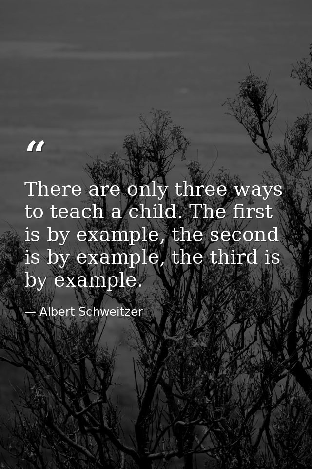 There are only three ways to teach a child. The first is by example, the second is by example, the third is by example. — Albert Schweitzer