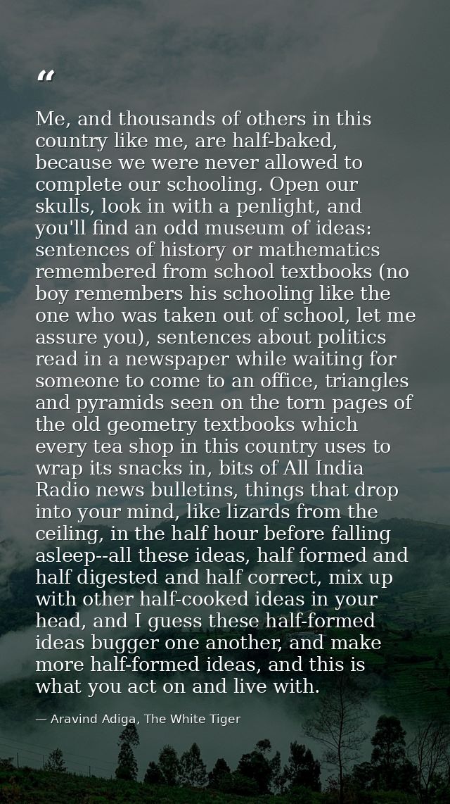 Me, and thousands of others in this country like me, are half-baked, because we were never allowed to complete our schoo — Aravind Adiga, The White Tiger