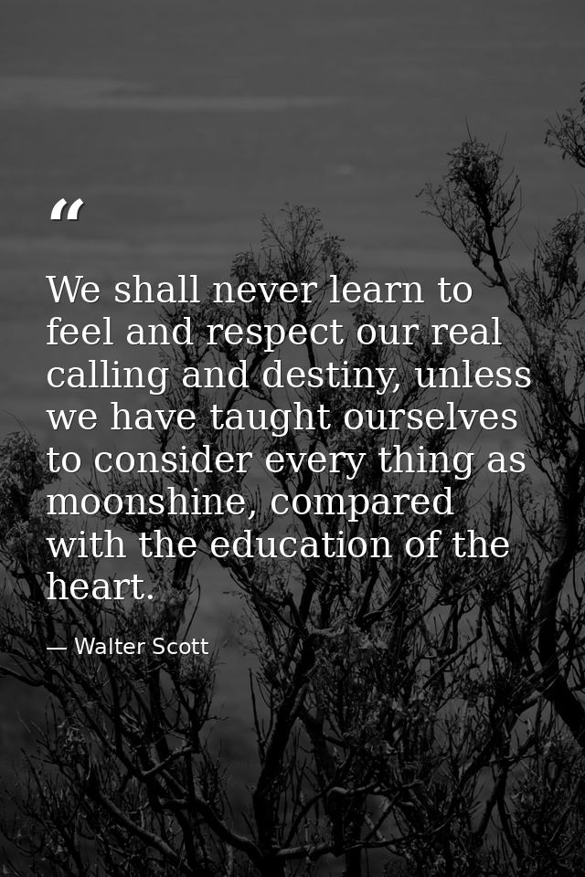 We shall never learn to feel and respect our real calling and destiny, unless we have taught ourselves to consider every — Walter Scott