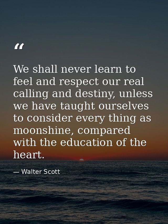 We shall never learn to feel and respect our real calling and destiny, unless we have taught ourselves to consider every — Walter Scott