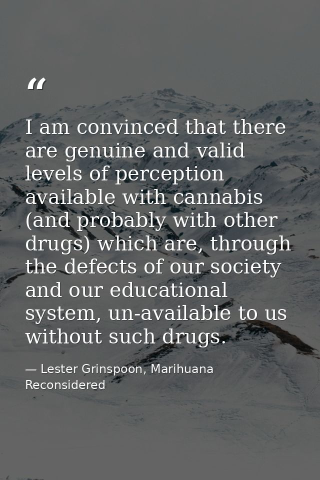 I am convinced that there are genuine and valid levels of perception available with cannabis (and probably with other dr — Lester Grinspoon, Marihuana Reconsidered