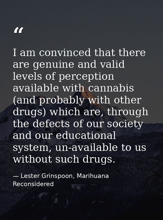 I am convinced that there are genuine and valid levels of perception available with cannabis (and probably with other dr — Lester Grinspoon, Marihuana Reconsidered