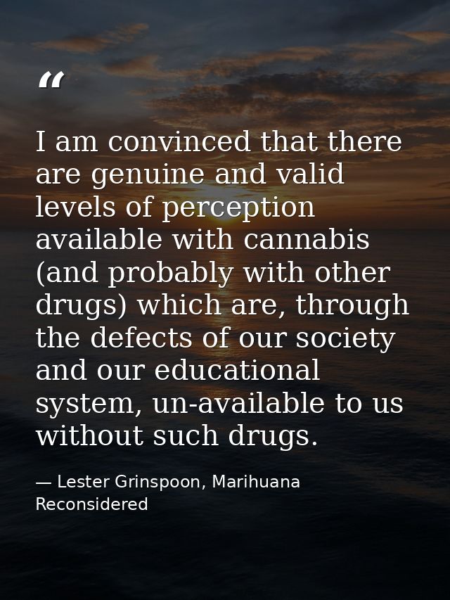 I am convinced that there are genuine and valid levels of perception available with cannabis (and probably with other dr — Lester Grinspoon, Marihuana Reconsidered