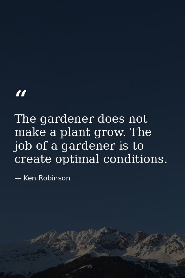 The gardener does not make a plant grow. The job of a gardener is to create optimal conditions. — Ken Robinson