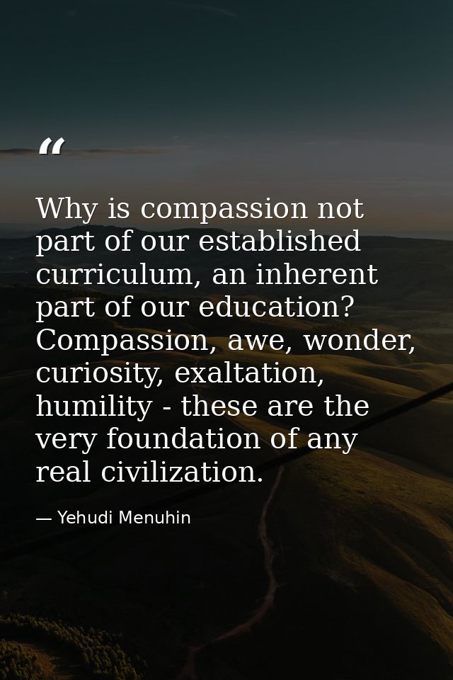 Why is compassion not part of our established curriculum, an inherent part of our education? Compassion, awe, wonder, cu — Yehudi Menuhin