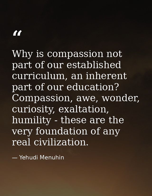 Why is compassion not part of our established curriculum, an inherent part of our education? Compassion, awe, wonder, cu — Yehudi Menuhin