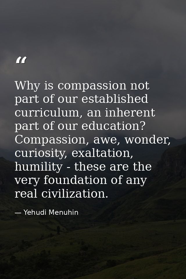 Why is compassion not part of our established curriculum, an inherent part of our education? Compassion, awe, wonder, cu — Yehudi Menuhin