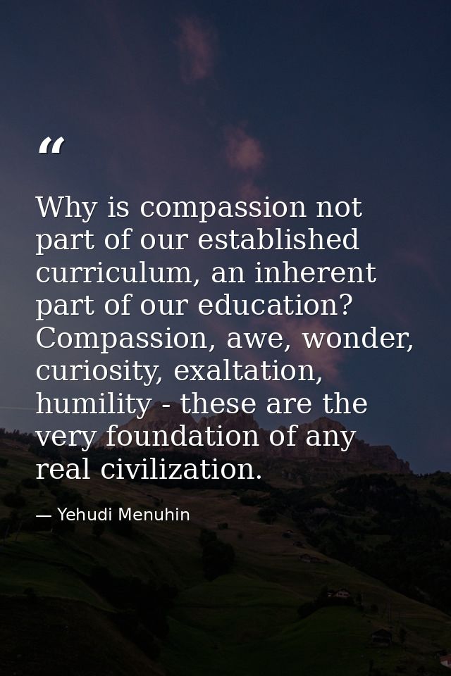 Why is compassion not part of our established curriculum, an inherent part of our education? Compassion, awe, wonder, cu — Yehudi Menuhin