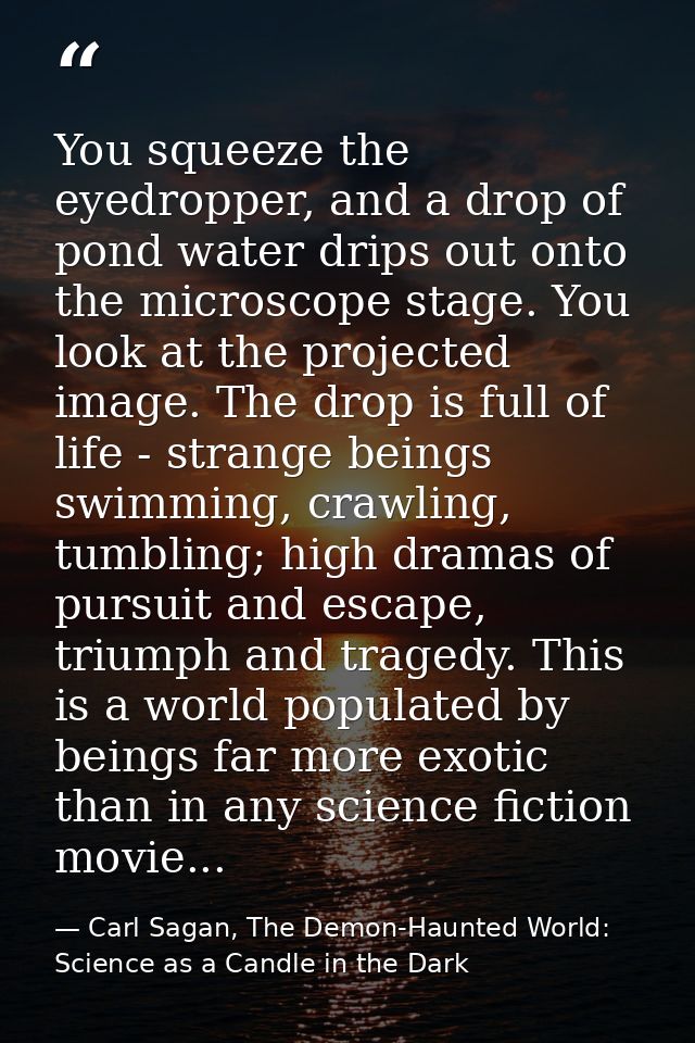 You squeeze the eyedropper, and a drop of pond water drips out onto the microscope stage. You look at the projected imag — Carl Sagan, The Demon-Haunted World: Science as a Candle in the Dark